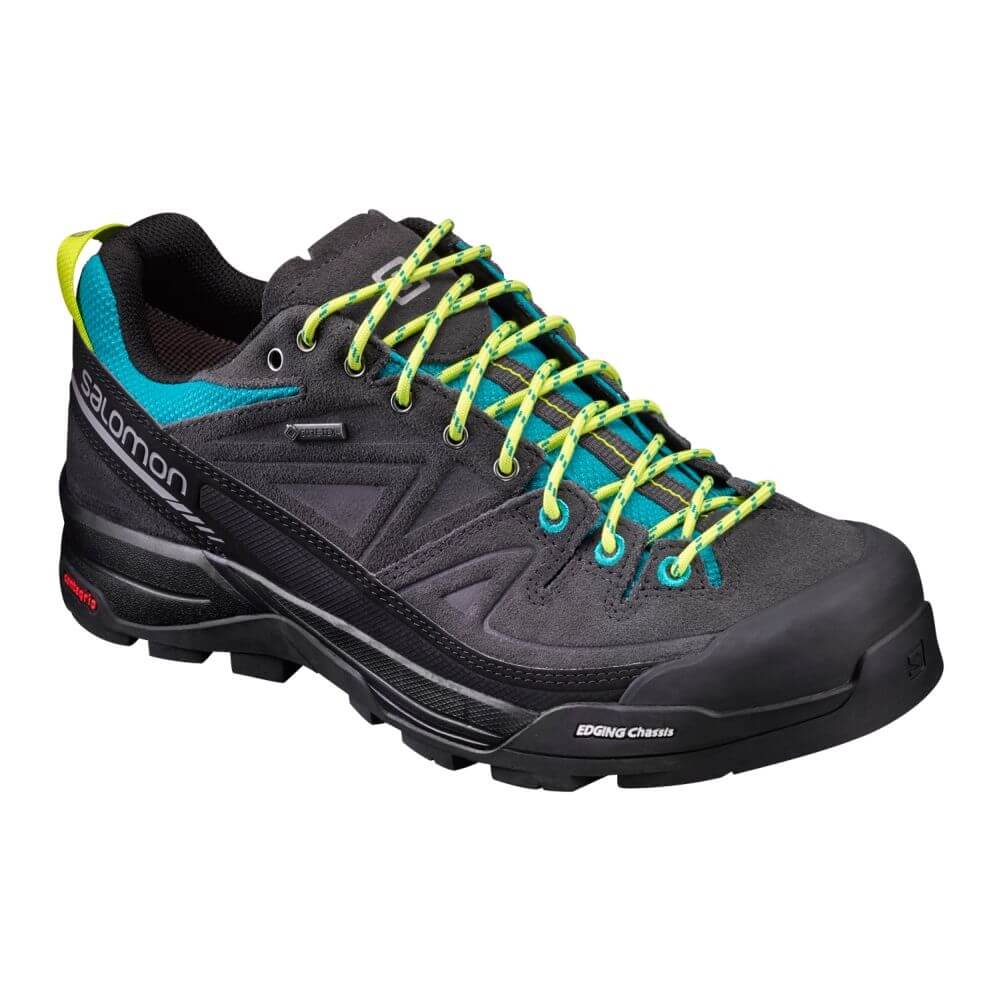 Salomon X Alp LTR GTX Salomon X Alp LTR GTX